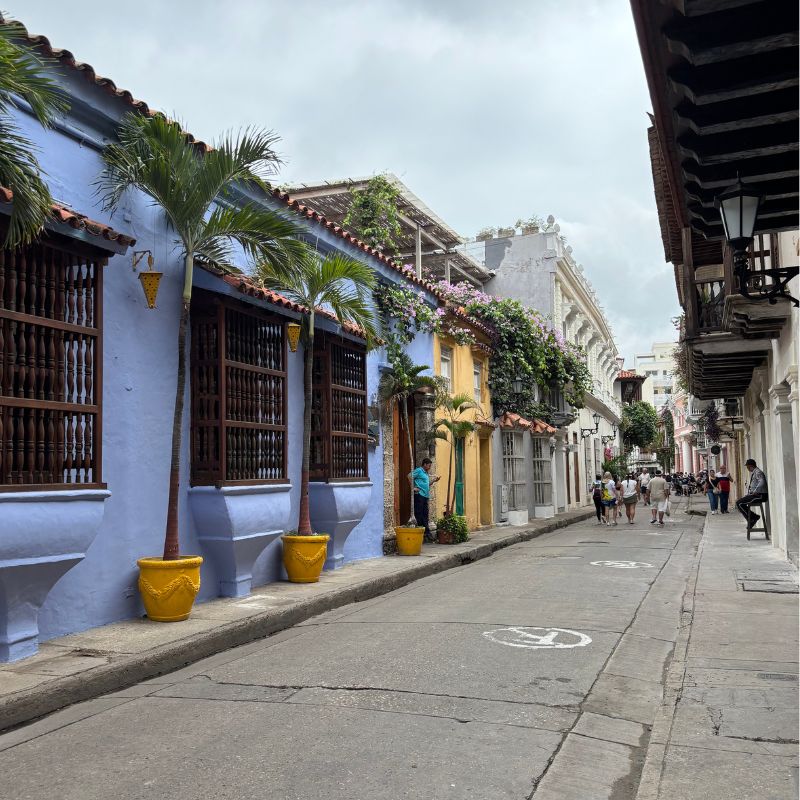 Quiet colonial street in Cartagena lined with pastel-colored buildings, balconies, and palm trees.