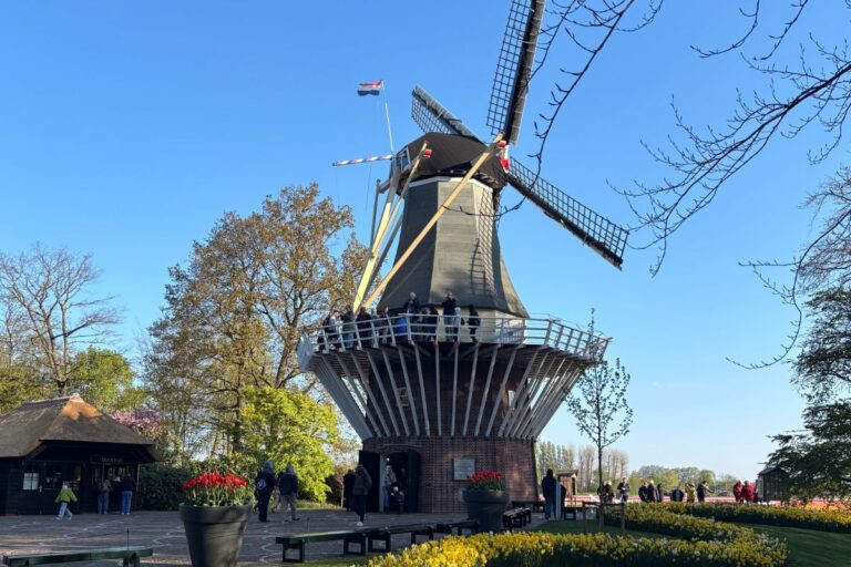 Visitors gather around the iconic windmill at Keukenhof during tulip season in Lisse, Netherlands.