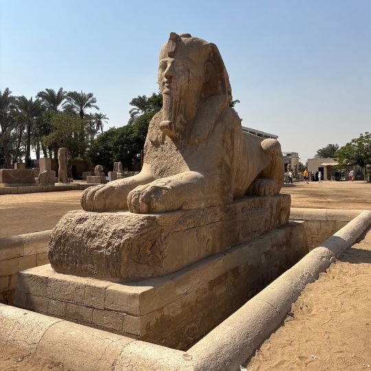 Stone sphinx statue surrounded by sand and ancient ruins at an Egyptian archaeological site lined with palm trees.