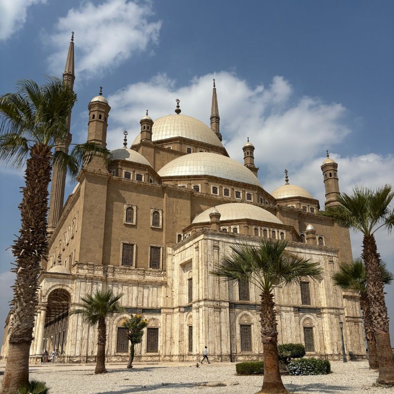 Wide view of the Mosque of Muhammad Ali inside the Cairo Citadel with domes, minarets, and palm trees under a blue sky.