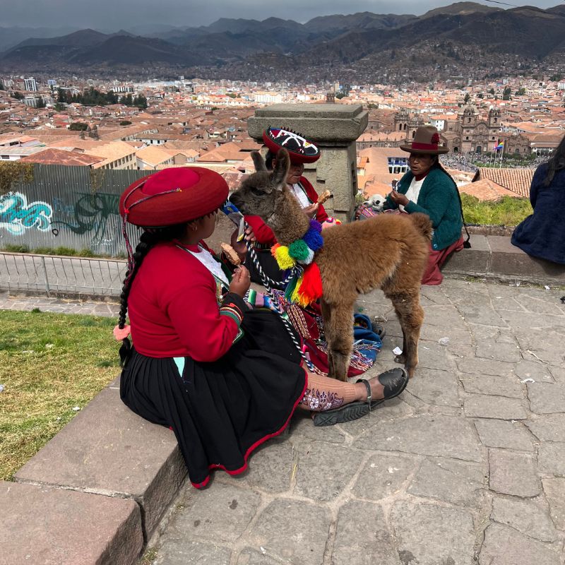 Women in traditional Andean clothing sitting with a decorated llama overlooking the city of Cusco from a scenic viewpoint.