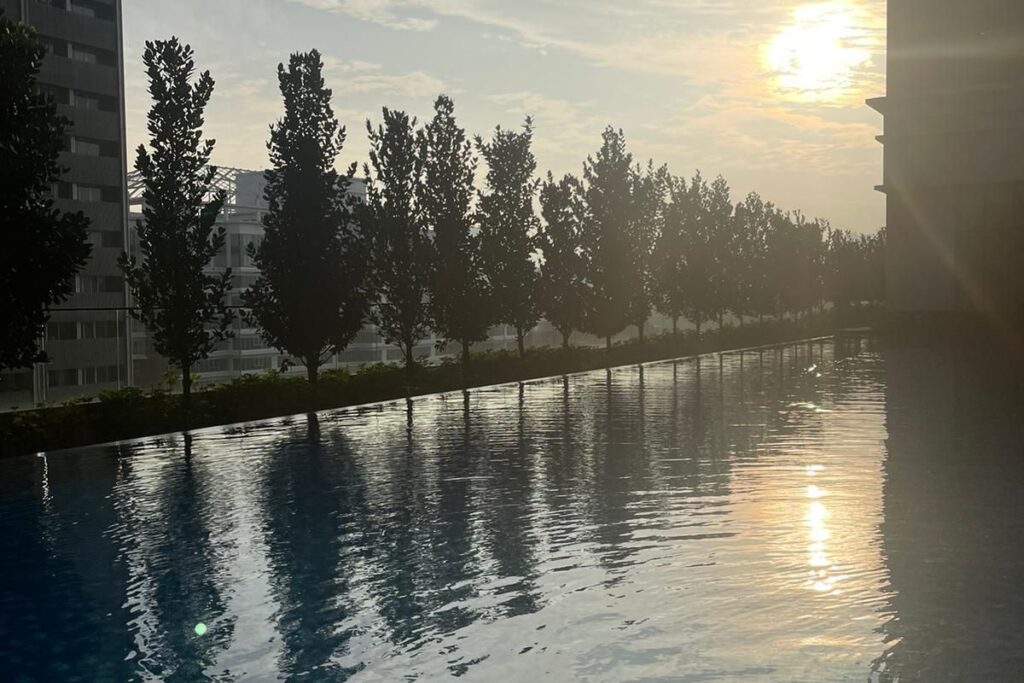 Rooftop infinity pool at sunset overlooking a modern city skyline, with rows of trees reflected in the calm water.
