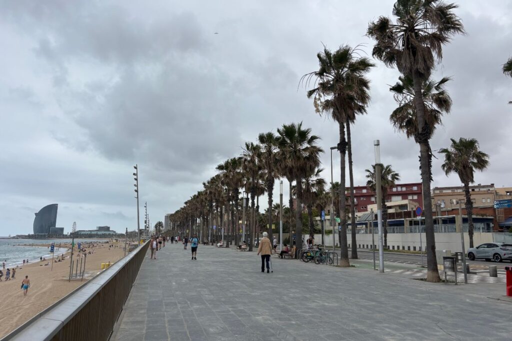 Palm-lined promenade along Barcelona's beachfront near Barceloneta