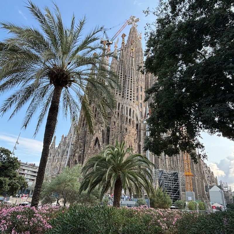 Exterior view of the Sagrada Família in Barcelona framed by palm trees