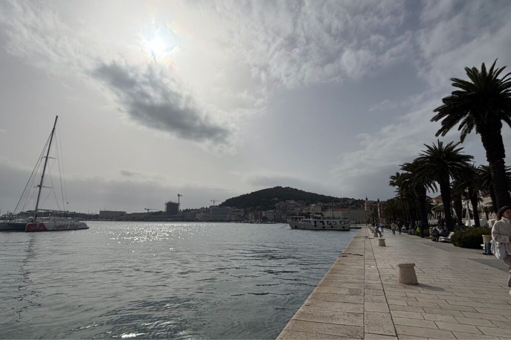 Waterfront promenade lined with palm trees along the Riva in Split, Croatia.