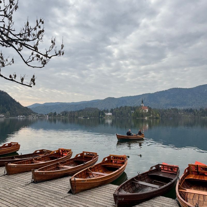Wooden rowing boats docked on Lake Bled with Bled Island in the distance.
