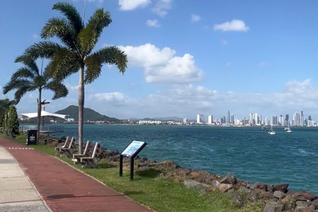 Panama City skyline viewed from the Amador Causeway with palm trees and a waterfront walking path.