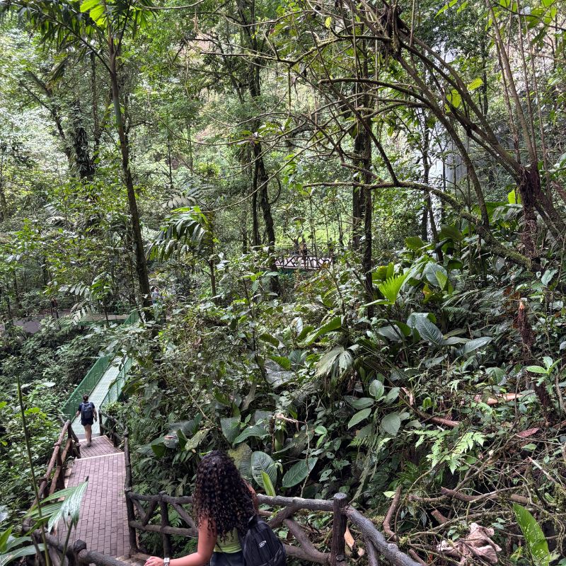 Walking trail through the rainforest leading to La Fortuna Waterfall in Costa Rica.
