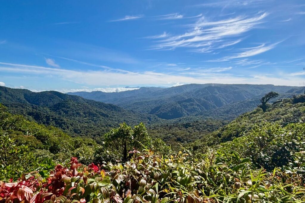 Panoramic view of the Monteverde Cloud Forest stretching across the mountains in Costa Rica.