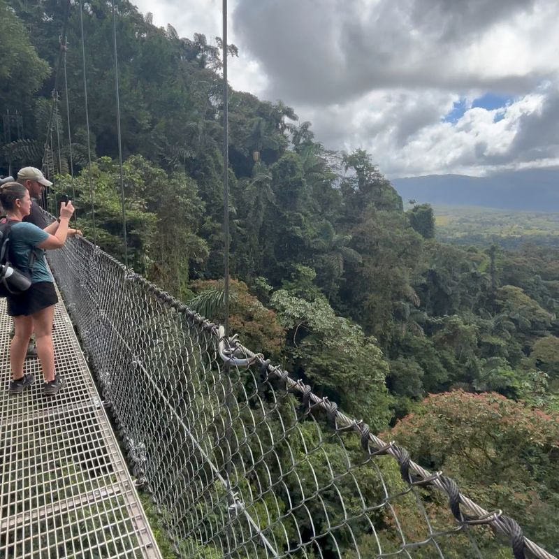 Visitors crossing a hanging bridge above the Monteverde cloud forest canopy in Costa Rica.