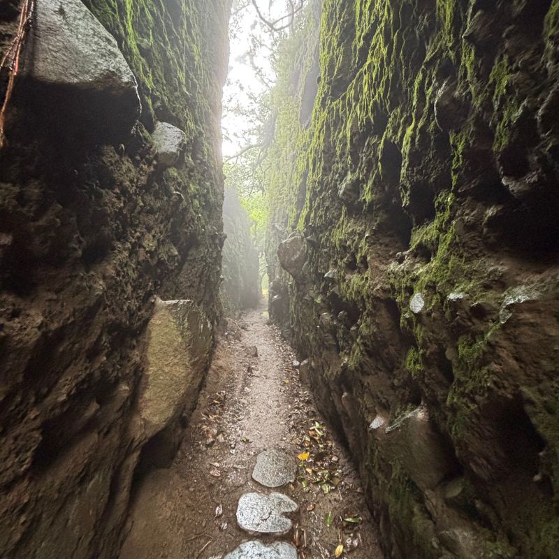 Narrow moss-covered rock passage along the El Tigrillo Trail in Mombacho Volcano Nature Reserve near Granada, Nicaragua.
