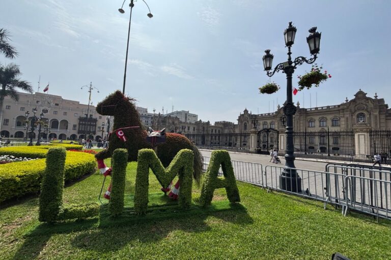 What to Expect When Visiting Lima