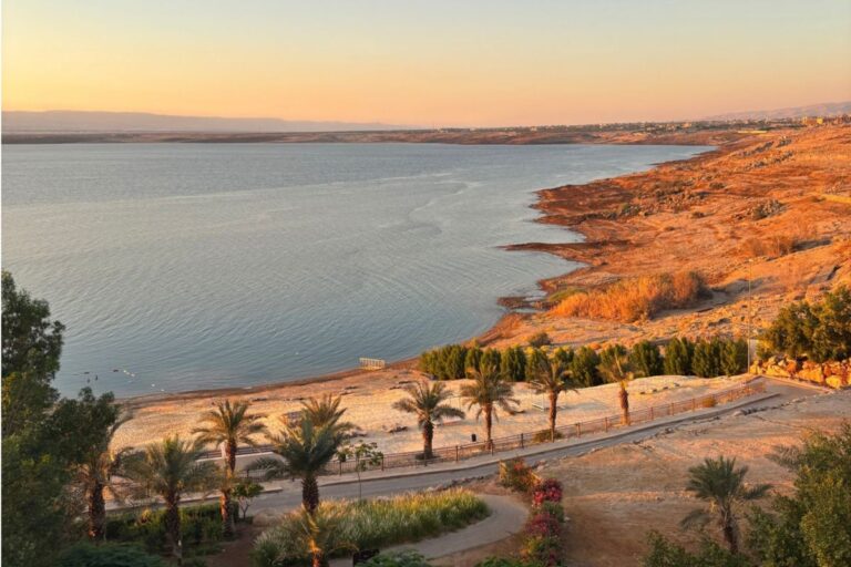 View from Hilton Dead Sea Resort & Spa across palm-lined grounds toward the Dead Sea and its shoreline in warm evening light.